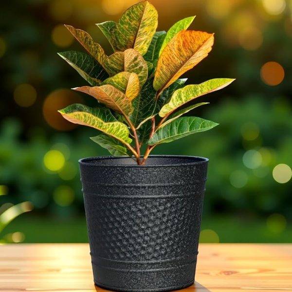 Outdoor Iron Bucket Planter Textured Powder Coated